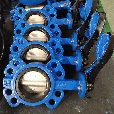 DN100 paslanmaz çelik kelebek valfi tüm amaçlı PTFE ve dayanıklı klem ile vinil